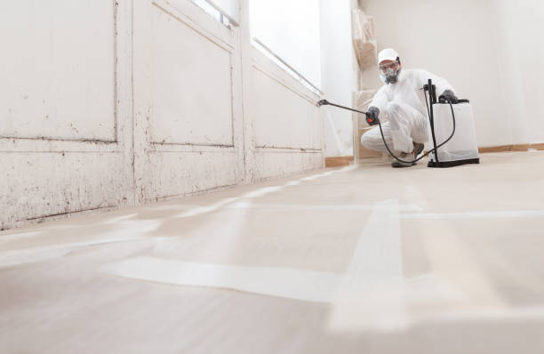 24/7 Emergency Mold Removal experts in Fountainville, PA